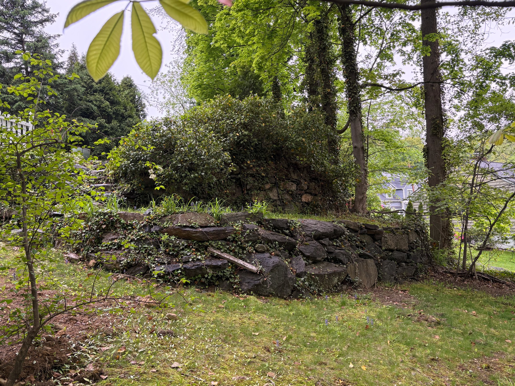 Lower retaining wall included in the tax lot